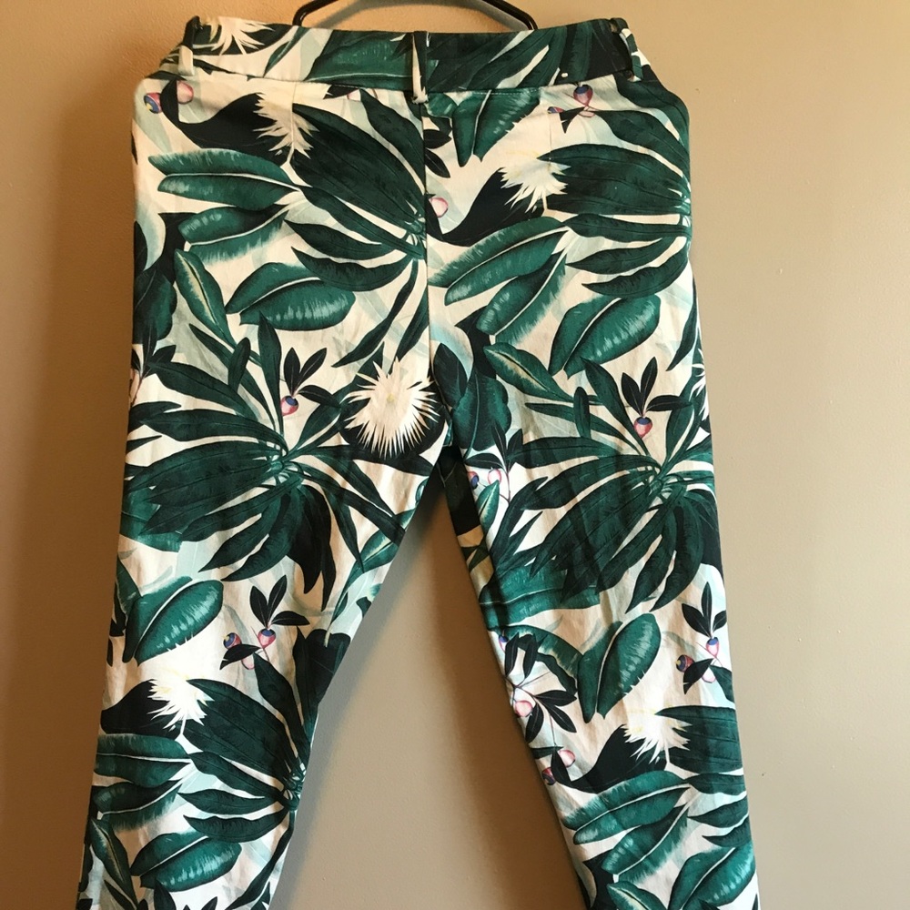 Pant